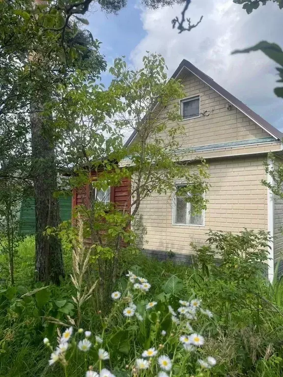 Дом в Новгородская область, Старорусский район, Новосельское с/пос, ... - Фото 2