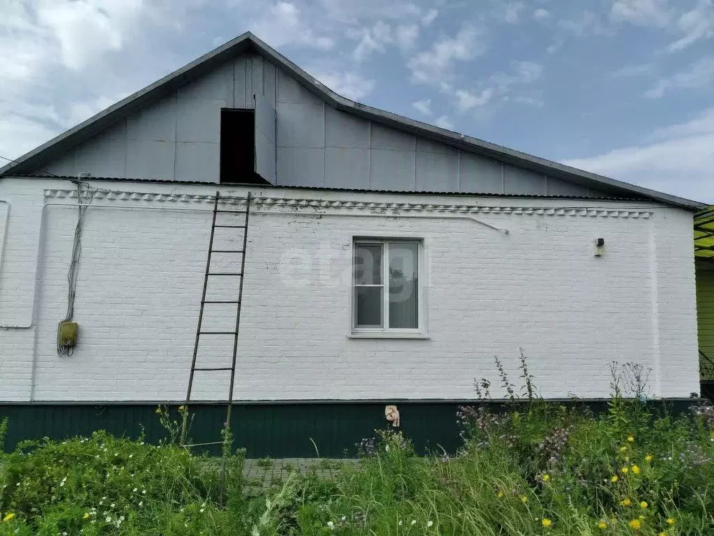 Дом в Тамбовская область, Мучкапский рп ул. Шапкина, 11 (100 м) - Фото 1