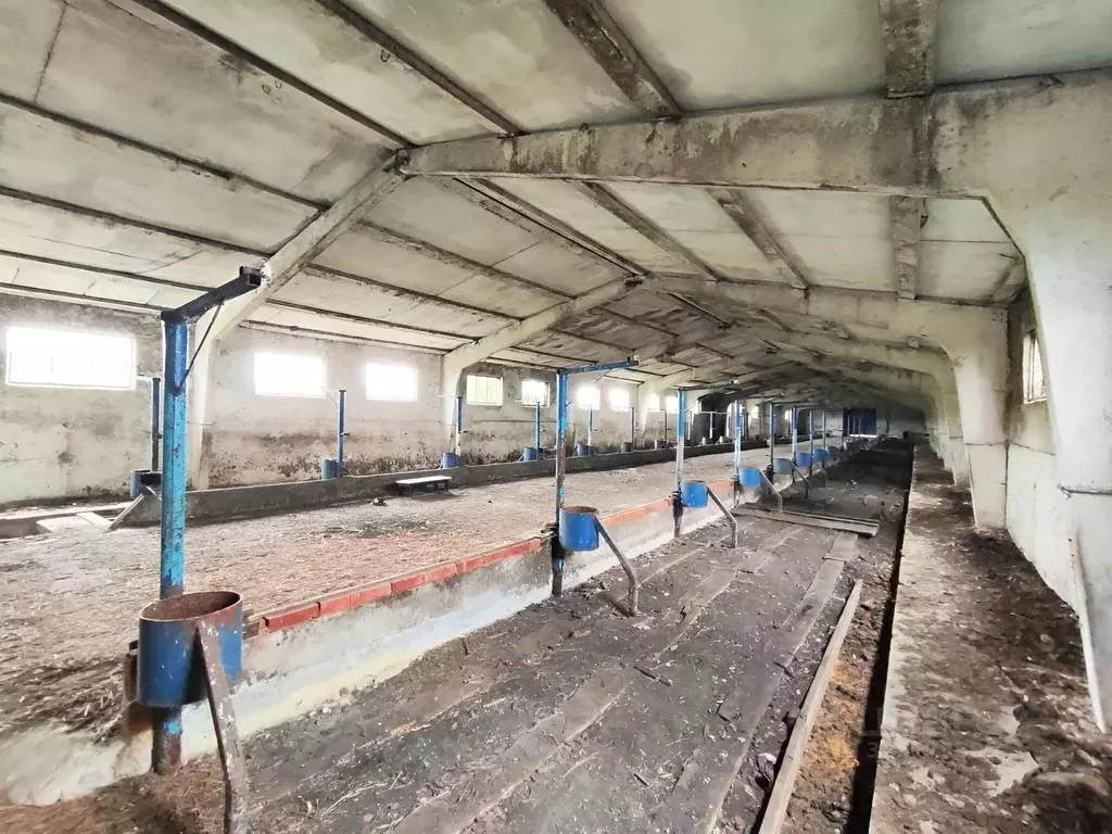 Помещение свободного назначения в Пензенская область, Каменский район, ... - Фото 2