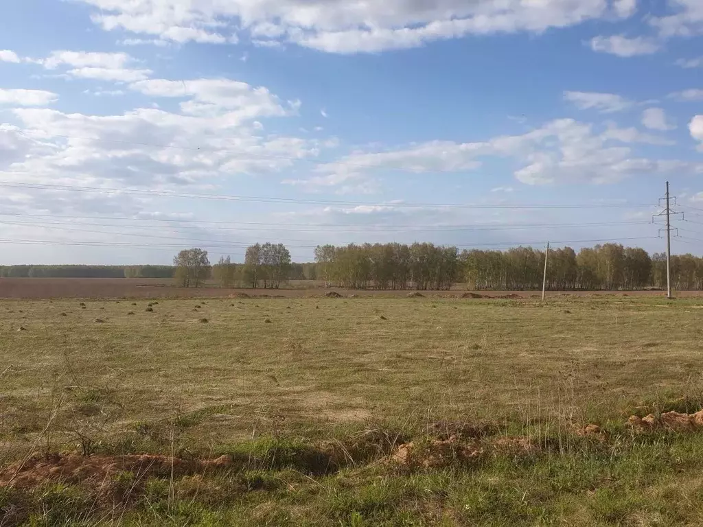 Участок в Нижегородская область, Богородский муниципальный округ, с. ... - Фото 1