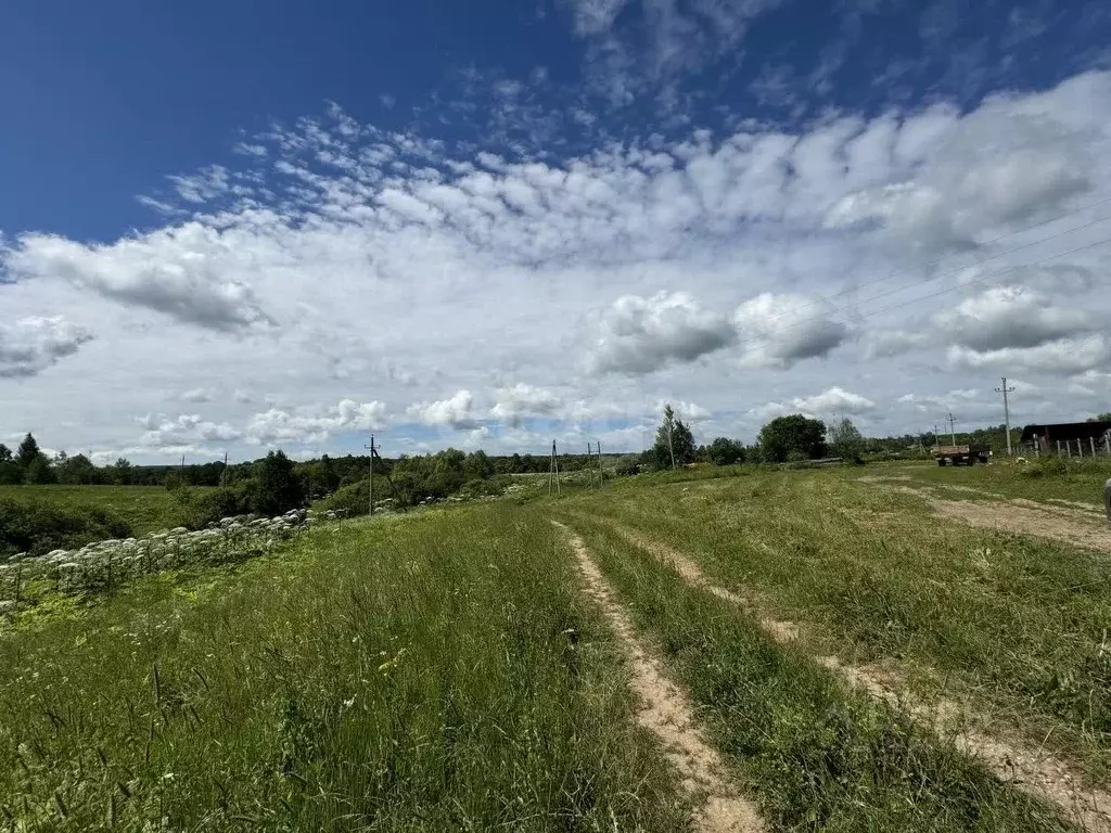 Участок в Тульская область, Тула городской округ, с. Алешня  (580.0 ... - Фото 1