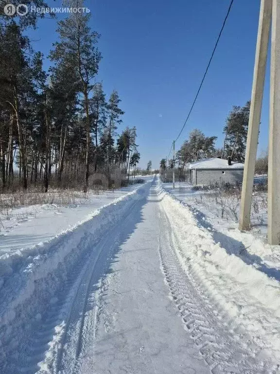 Участок в село Новоживотинное, Шоссейная улица (1000 м) - Фото 1
