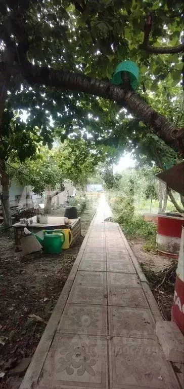 Дом в Ростовская область, Белокалитвинское городское поселение, ... - Фото 2