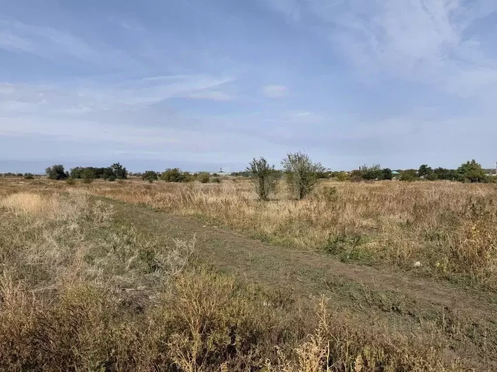 Участок в Ростовская область, Мясниковский район, с. Большие Салы ул. ... - Фото 1