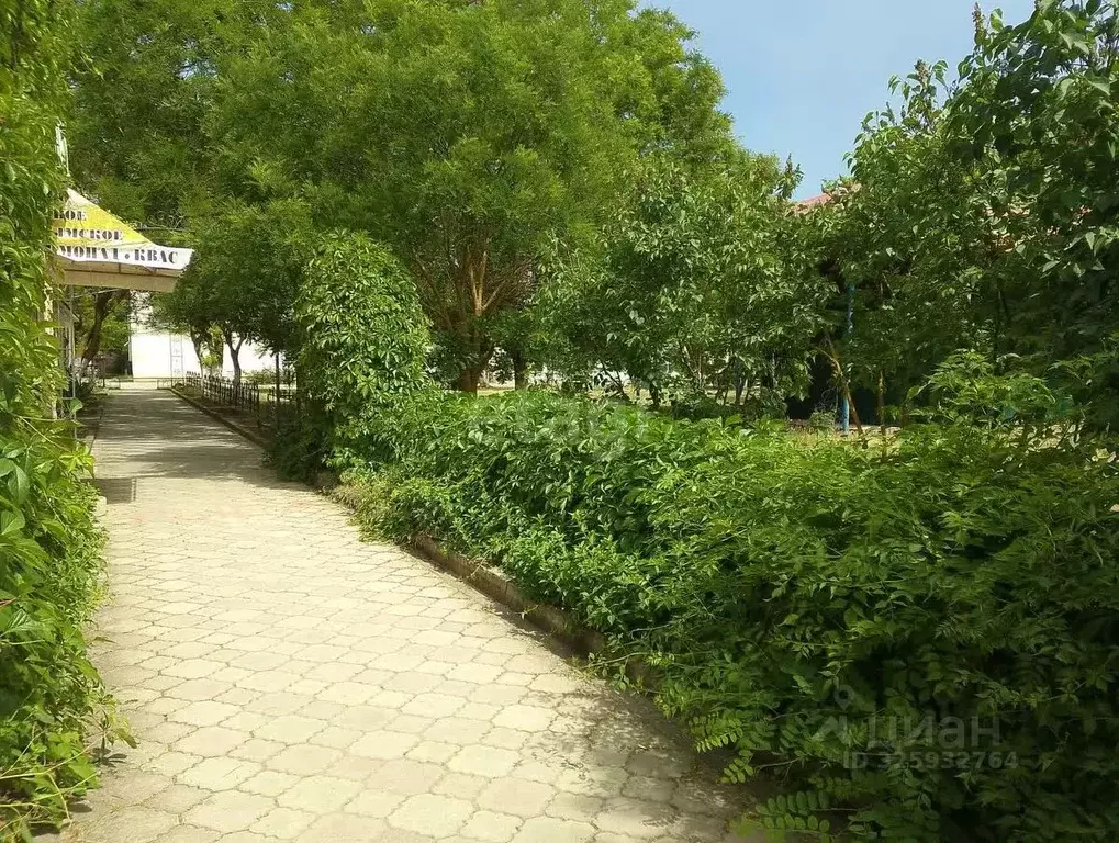 Участок в Крым, Феодосия муниципальный округ, с. Береговое ул. ... - Фото 1