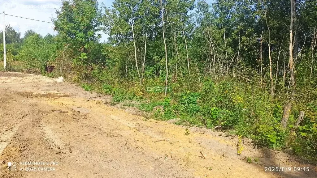 Участок в Пензенский район, Алферьевский сельсовет, село Алферьевка (5 ... - Фото 1