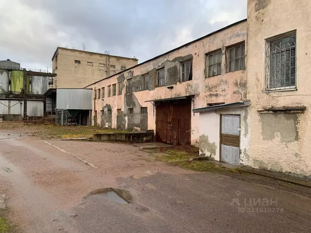 Помещение свободного назначения в Ленинградская область, Выборг ... - Фото 0