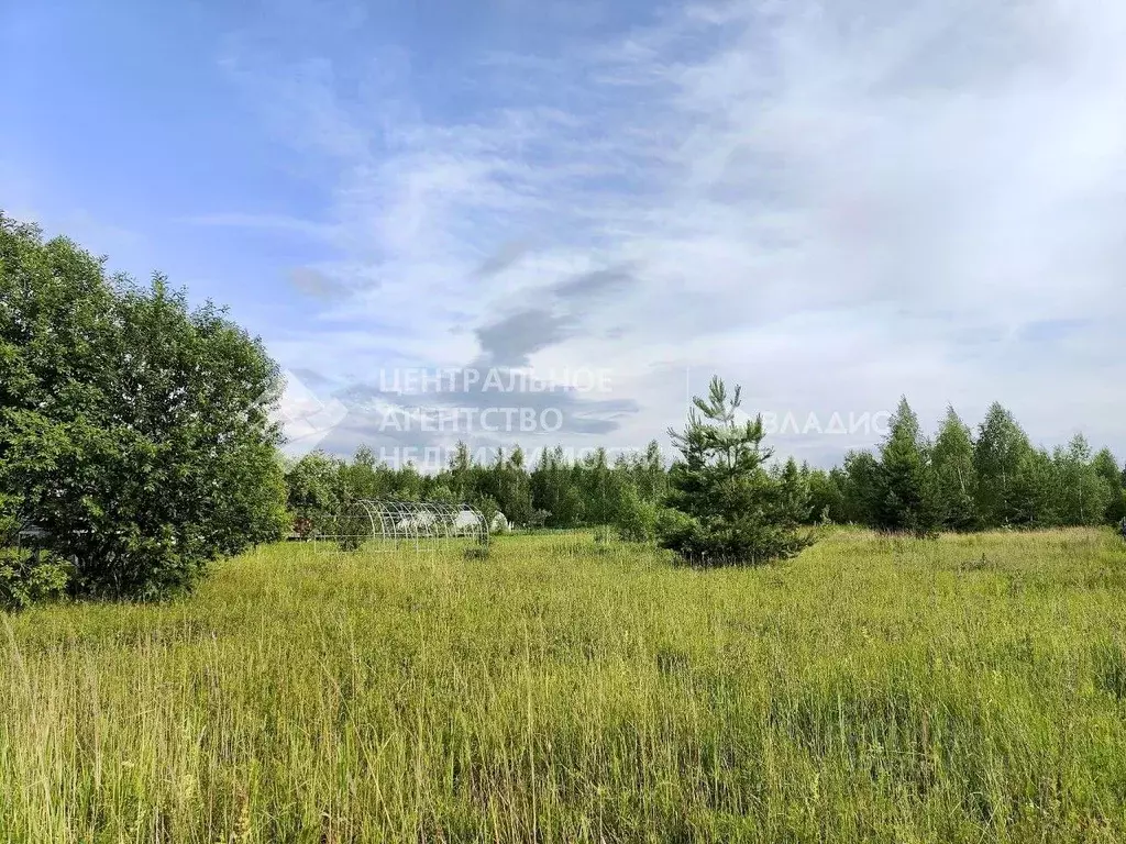 Участок в Рязанская область, Рыбновский муниципальный округ, с. ... - Фото 2