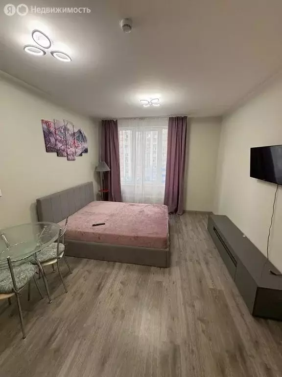 Квартира-студия: Санкт-Петербург, Витебский проспект, 99к1 (25.3 м) - Фото 2