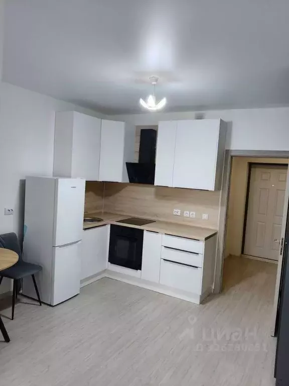 Студия Санкт-Петербург пос. Шушары, просп. Старорусский, 5к1 (22.0 м) - Фото 1