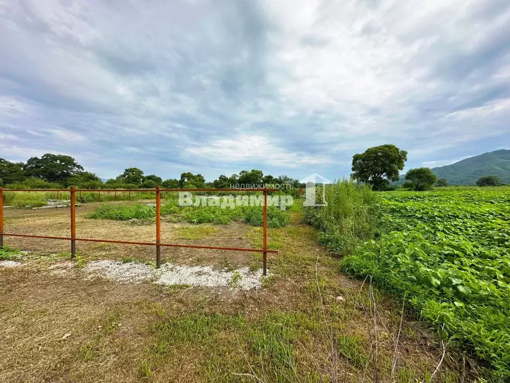 Участок в Приморский край, Партизанский муниципальный округ, с. ... - Фото 1