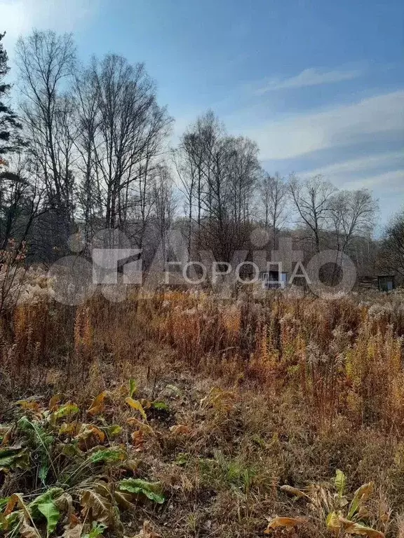 Участок 10 сот. (СНТ, ДНП) - Фото 0