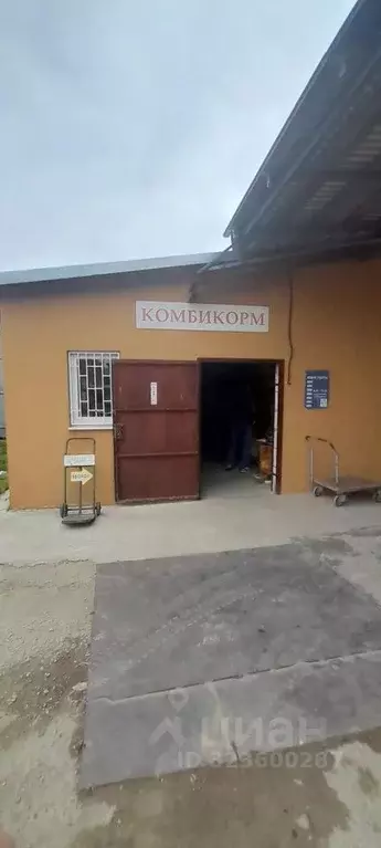 Помещение свободного назначения в Тамбовская область, Тамбов ... - Фото 2