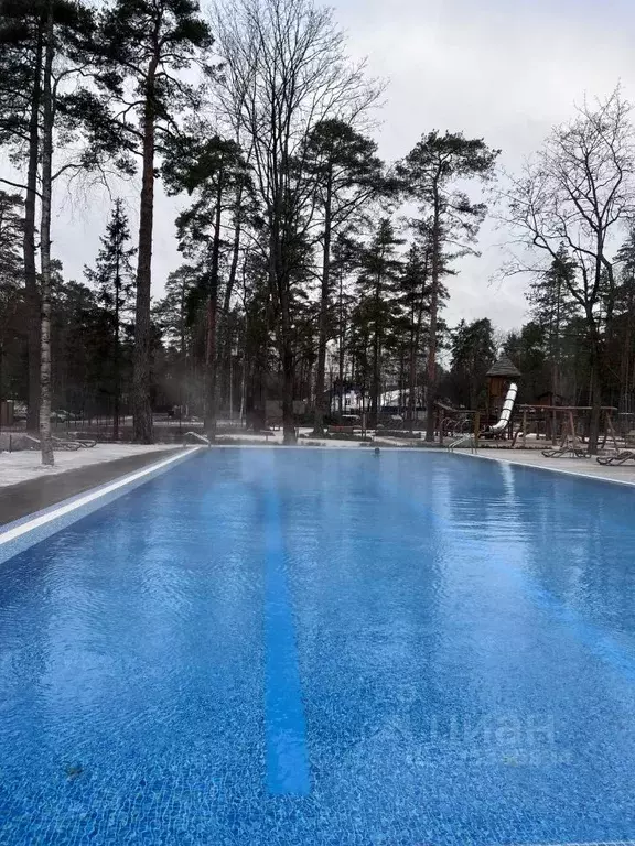 Студия Санкт-Петербург, Санкт-Петербург, Зеленогорск Приморское ш., ... - Фото 0