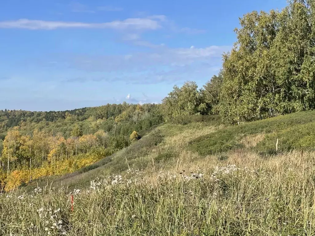 Участок в Томская область, Томский район, с. Коларово  (11.0 сот.) - Фото 1