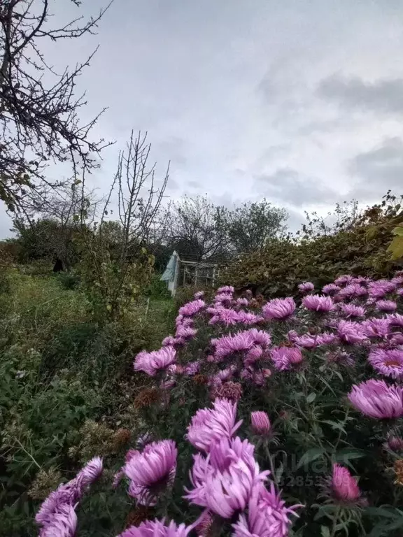 Дом в Тульская область, Щекинский район, Яснополянское с/пос, д. ... - Фото 2