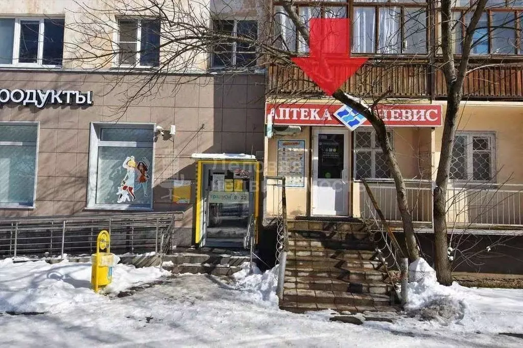 Торговая площадь в Новгородская область, Великий Новгород ул. ... - Фото 2