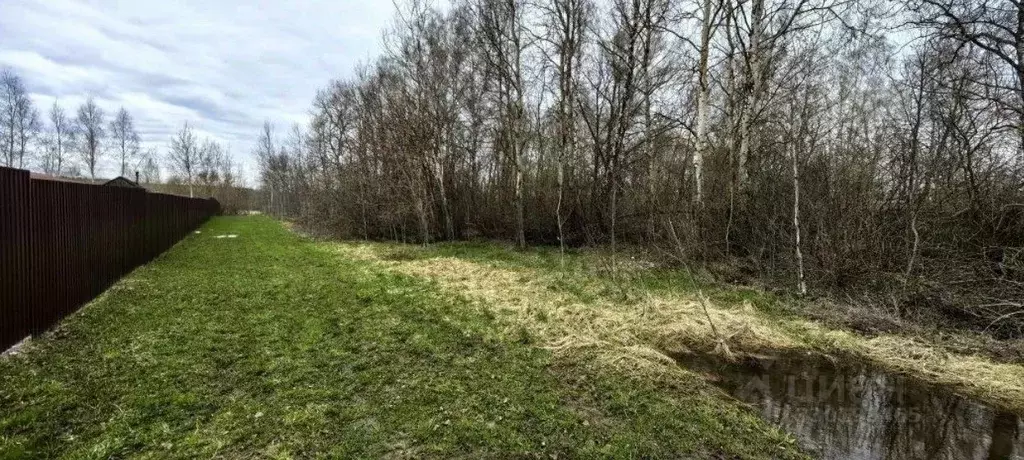 Участок в Московская область, Коломна городской округ, с. Чанки  ... - Фото 2