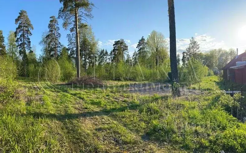 Участок в Ленинградская область, Светогорск Выборгский район, Лесная ... - Фото 1