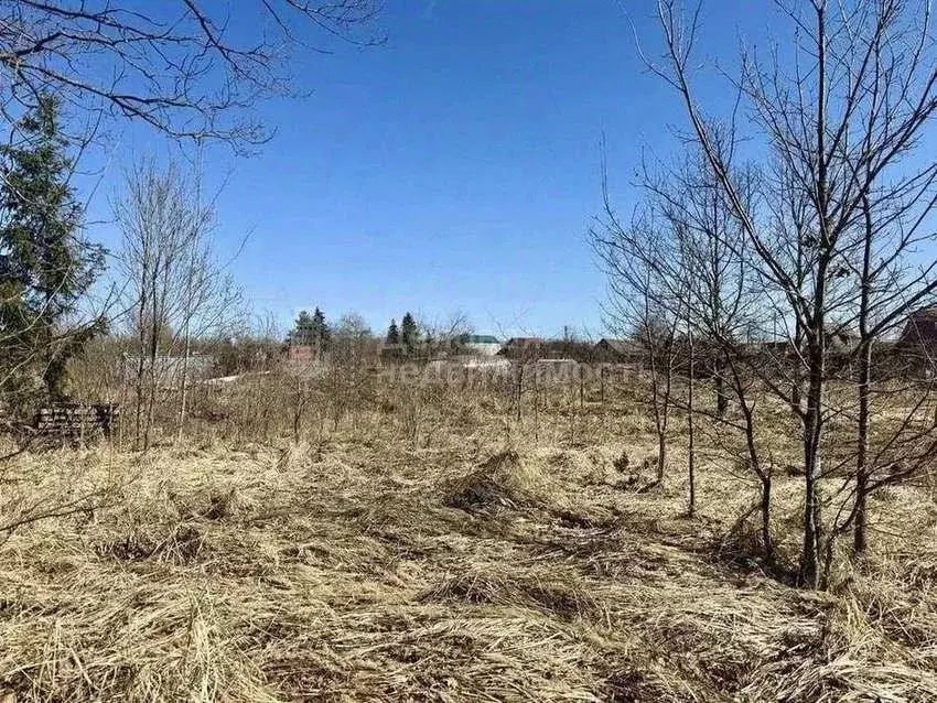 Участок в Новгородская область, Новгородский муниципальный район, ... - Фото 1