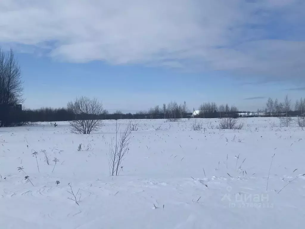 Участок в Московская область, Луховицы д. Третьяково,  (11.99 сот.) - Фото 1