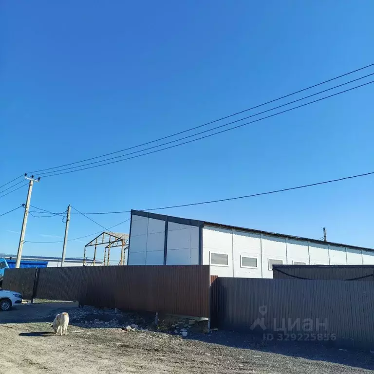 Помещение свободного назначения в Ленинградская область, Тосненский ... - Фото 1