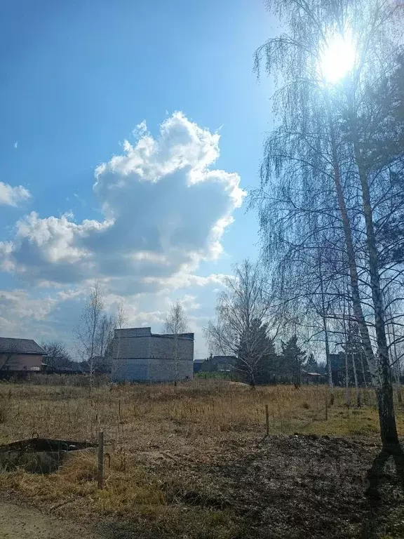 Участок в Воронежская область, Рамонский район, Айдаровское с/пос, ... - Фото 1
