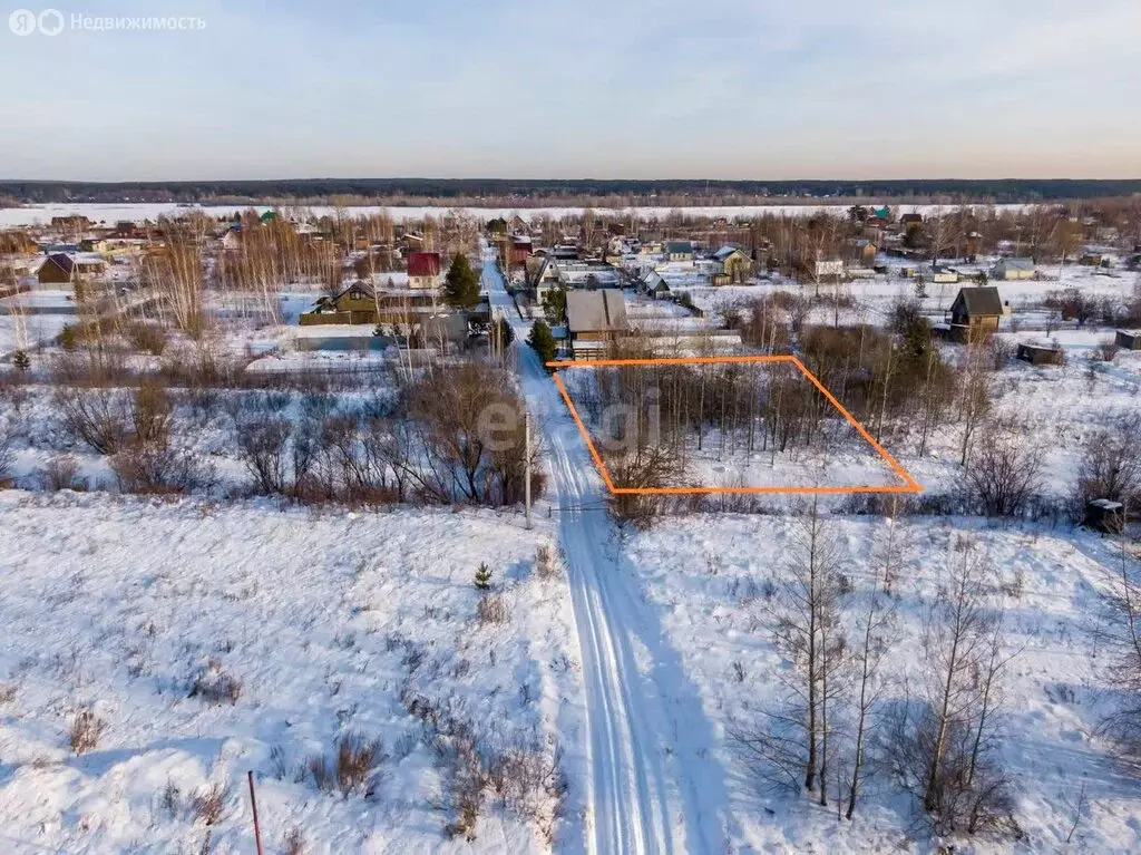 Участок в Колыванский район, СНТ Ежевичка (6 м) - Фото 0