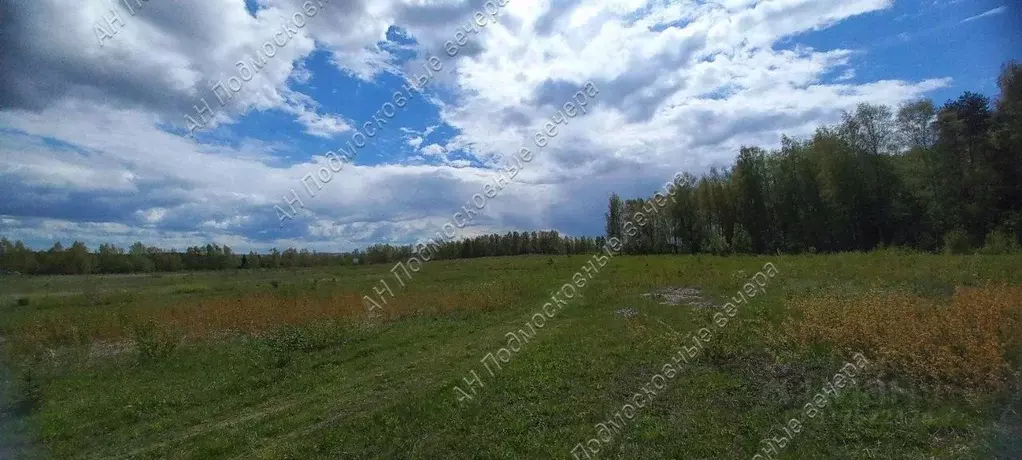 Участок в Московская область, Можайский муниципальный округ, д. ... - Фото 1