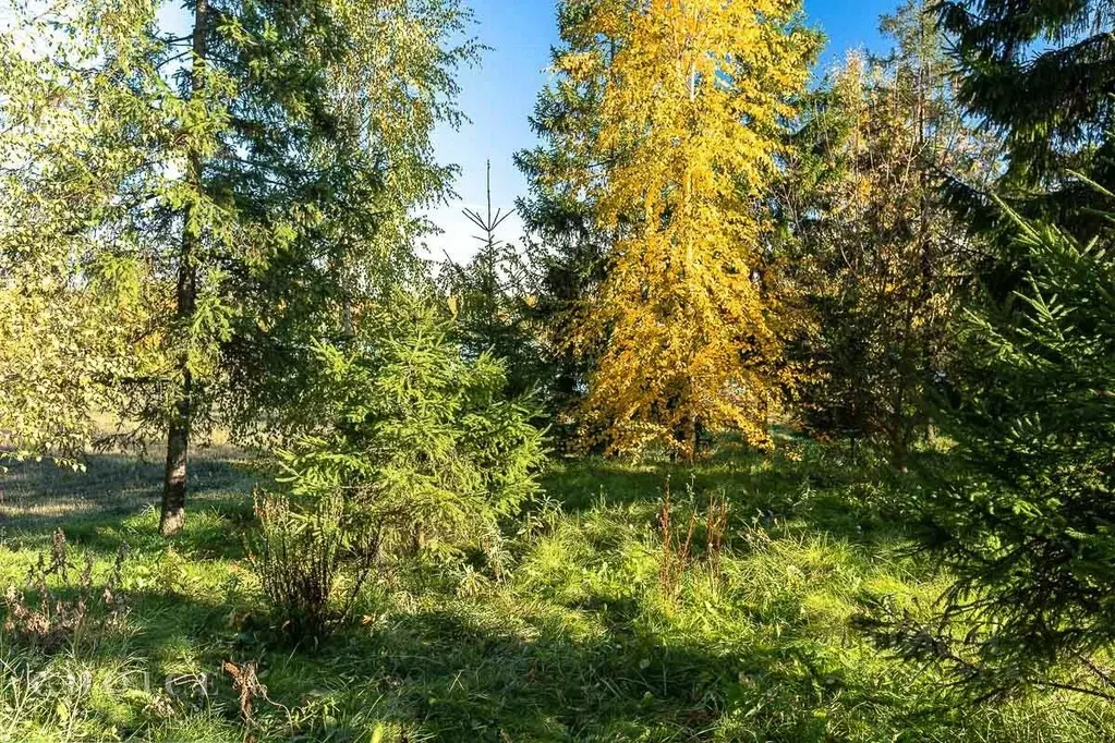 Участок в Московская область, Одинцовский городской округ, д. Шульгино ... - Фото 1