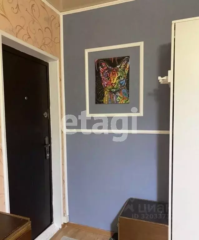 Комната Калининградская область, Калининград Лесная ул., 16 (23.0 м) - Фото 0