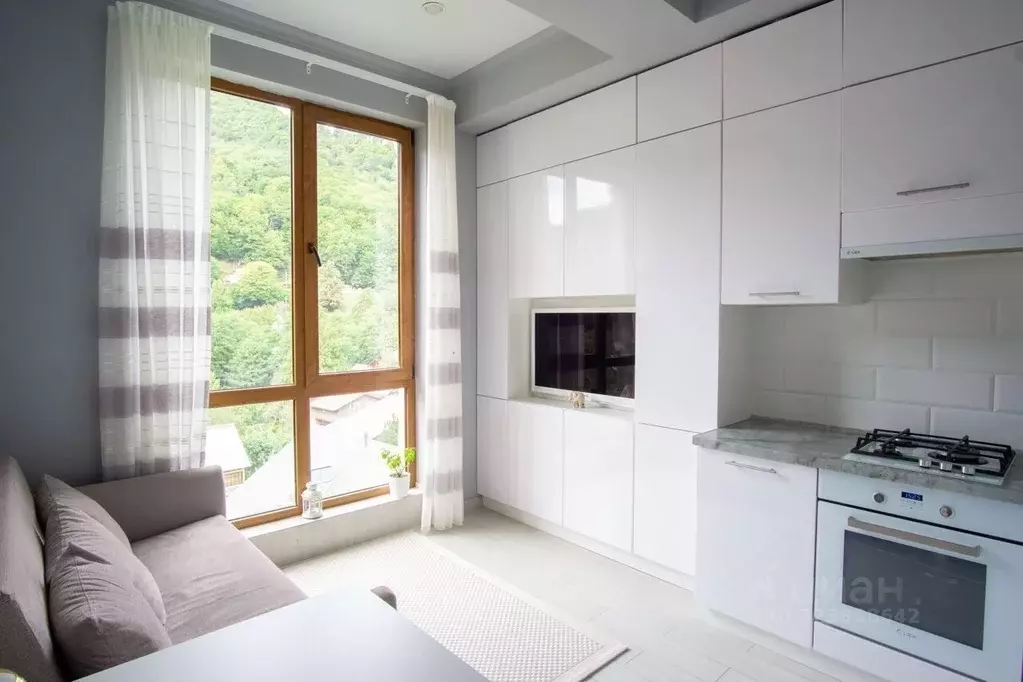 2-к кв. Краснодарский край, Сочи Красная Поляна пгт, ул. Турчинского, ... - Фото 2