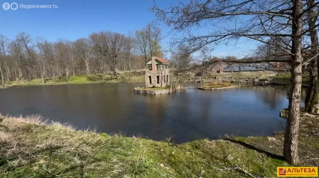 Участок в Калининградская область, Мамоново (600 м) - Фото 1