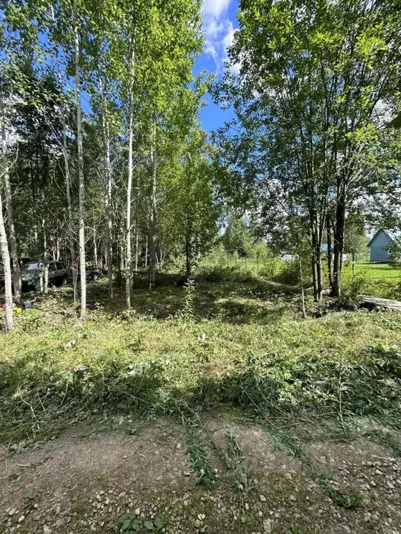 Участок в Ленинградская область, Кировский район, Мгинское городское ... - Фото 2