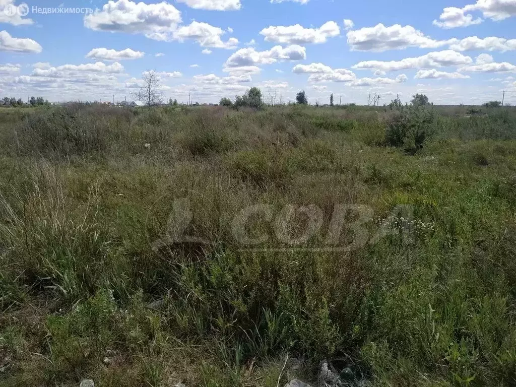 Участок в Курган (4 м) - Фото 1