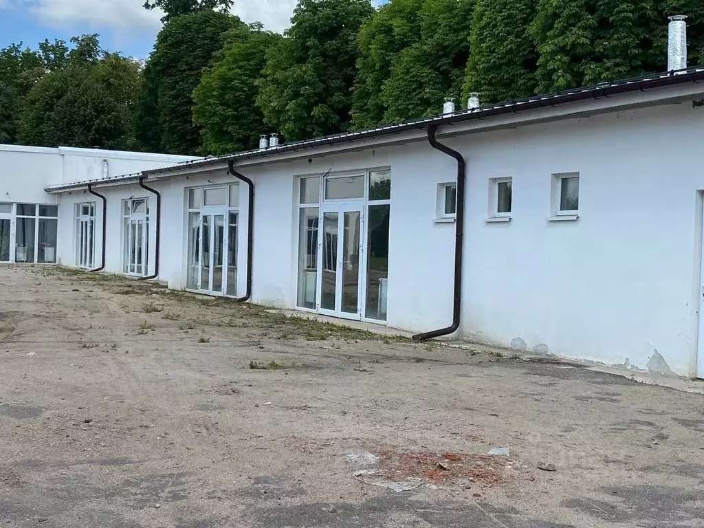 Помещение свободного назначения в Калининградская область, Правдинск ... - Фото 2