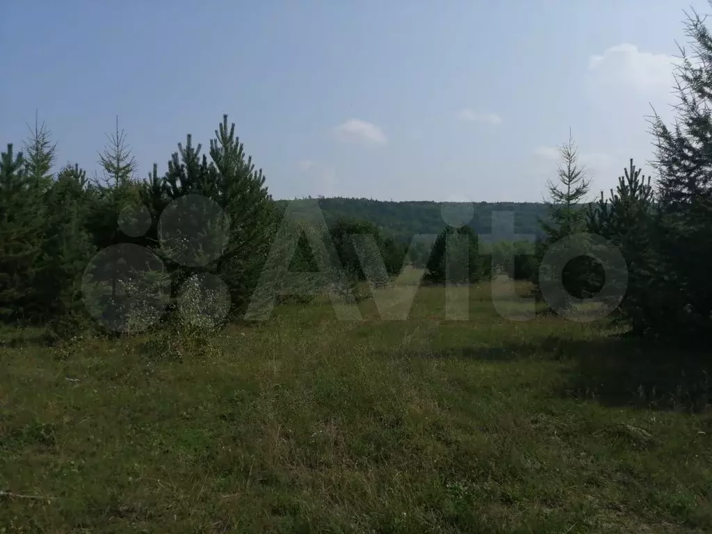 Участок 6 сот. (СНТ, ДНП) - Фото 1