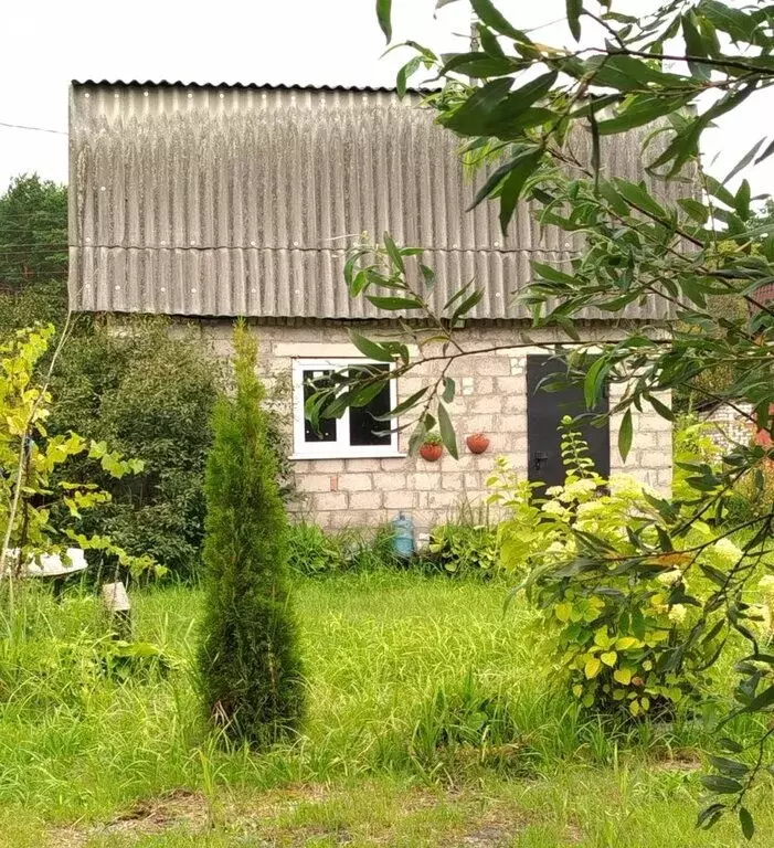 Дом в Брянская область, Фокино (36 м) - Фото 1