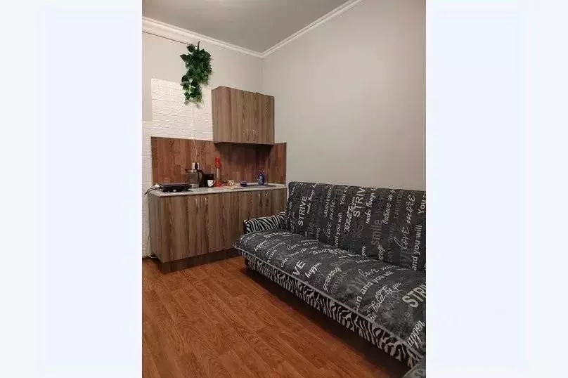 1-к кв. Московская область, Лобня Спортивная ул., 1 (20.0 м) - Фото 1