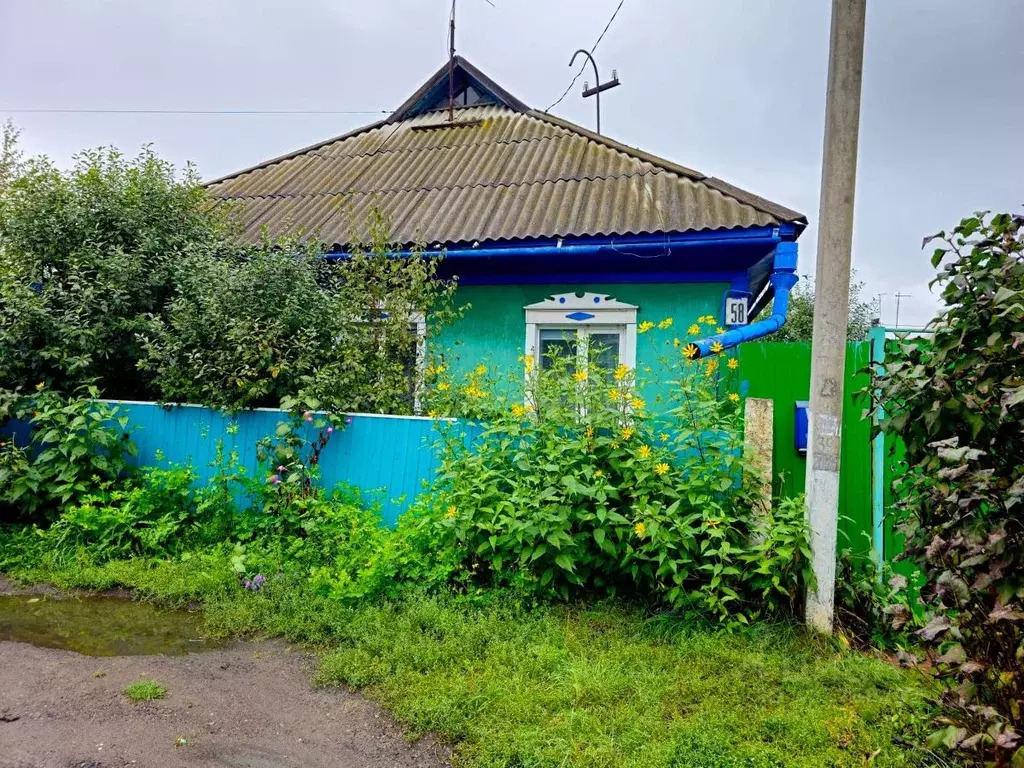 Дом в Омская область, Калачинск ул. Котовского, 58 (74 м) - Фото 1