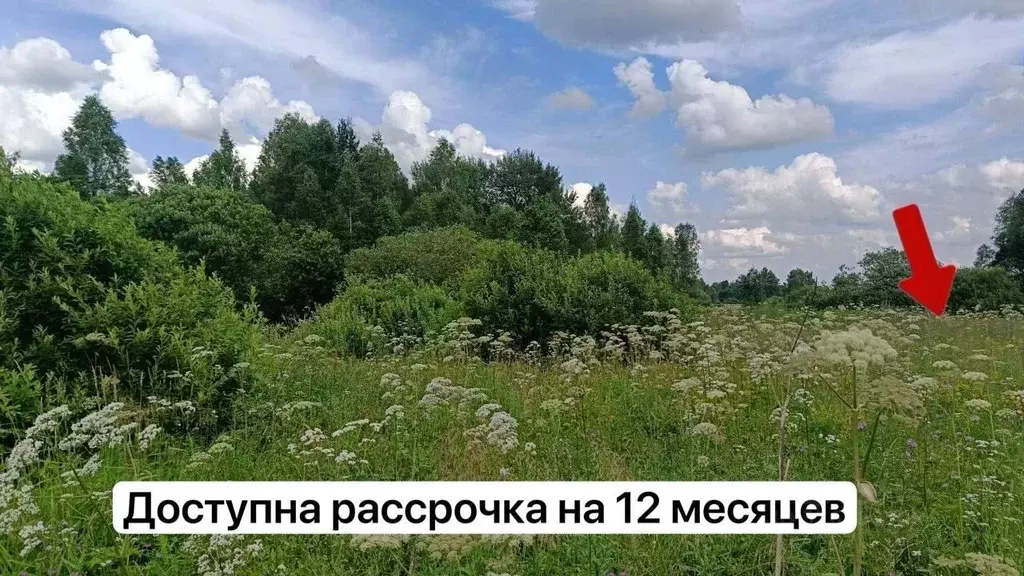 Участок в Московская область, Можайский муниципальный округ, Лесной кп ... - Фото 1