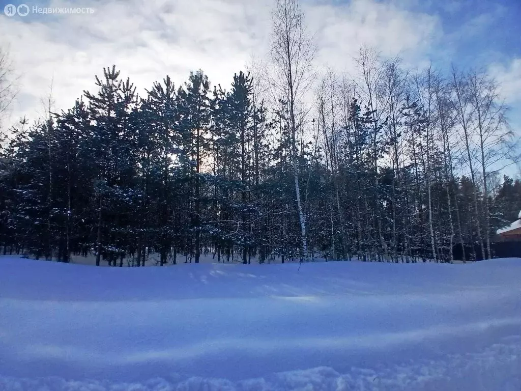 Участок в Владимирская область, Киржачский муниципальный округ, СНТ ... - Фото 1