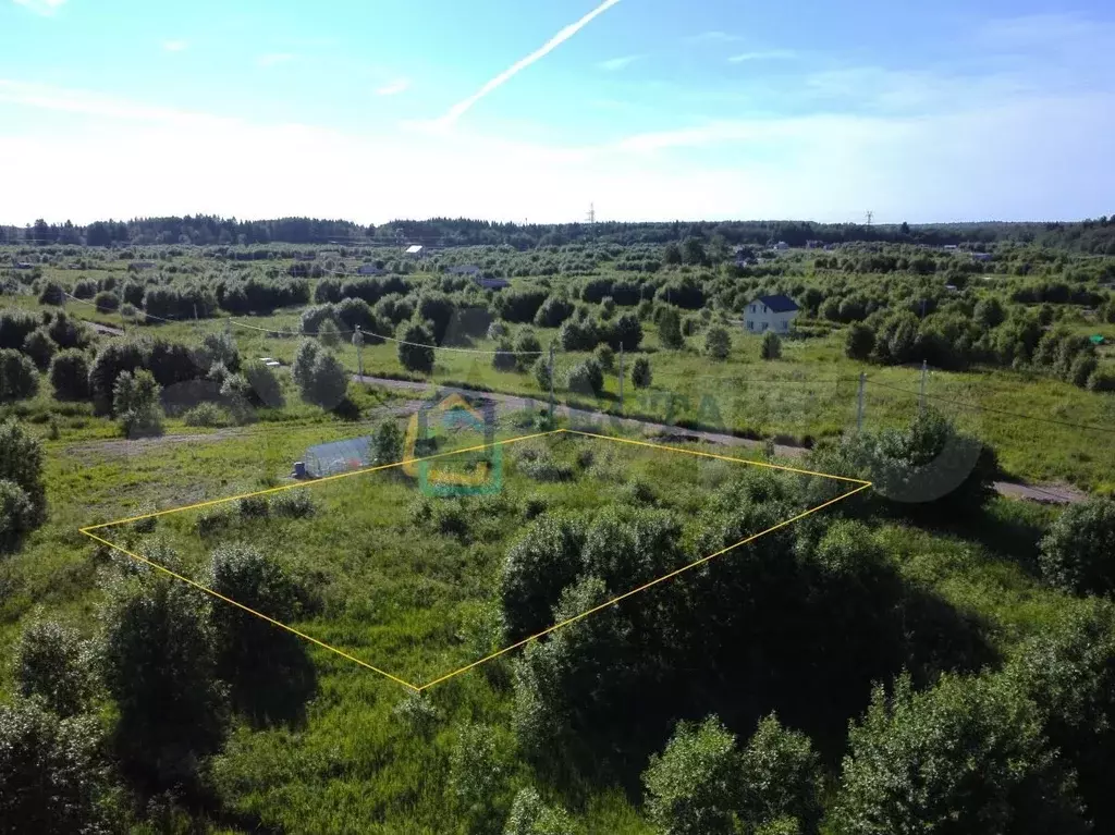 Участок 12 сот. (СНТ, ДНП) - Фото 1