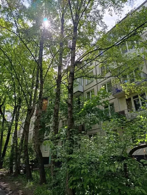 2-к кв. Санкт-Петербург Будапештская ул., 23К4 (45.1 м) - Фото 2
