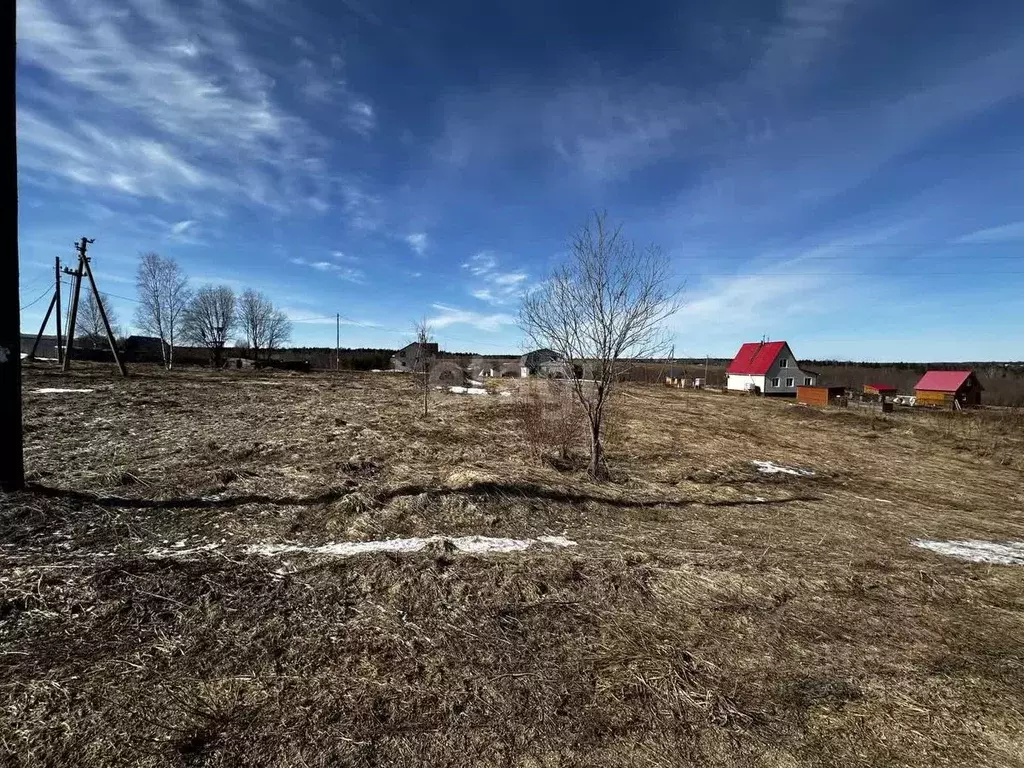 Участок в Вологодская область, Череповецкий район, Югское ... - Фото 1