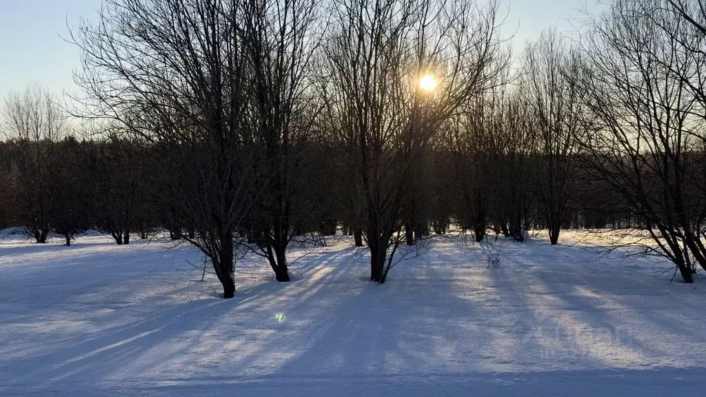 Участок в Московская область, Истра муниципальный округ, д. Кореньки  ... - Фото 2