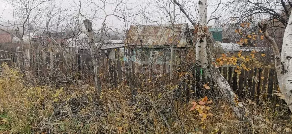 Дом в Комсомольск-на-Амуре, СНТ АСЗ Сад № 4 (23 м) - Фото 0