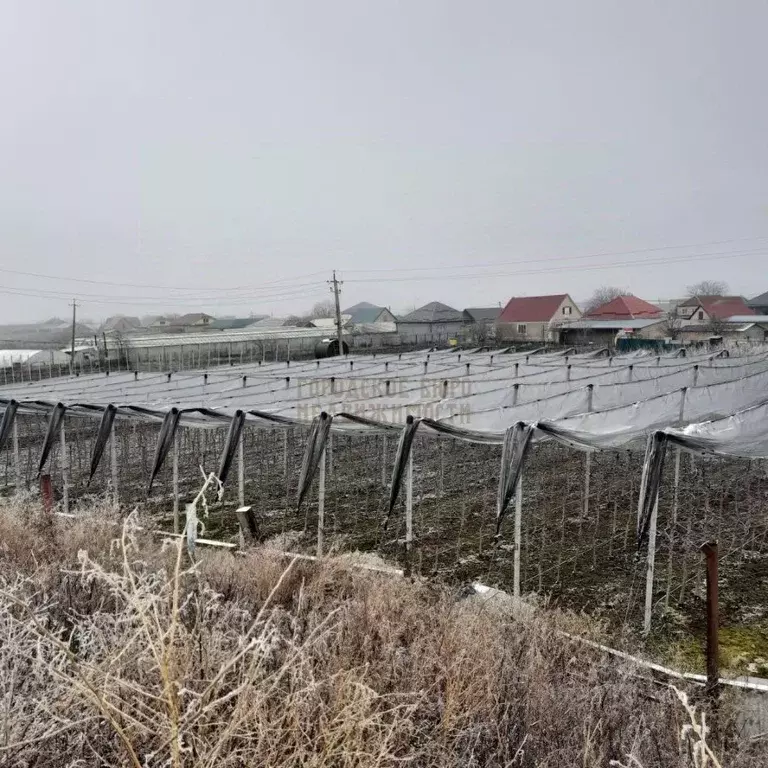 Участок в Кабардино-Балкария, Баксанский район, с. Заюково ул. ... - Фото 0