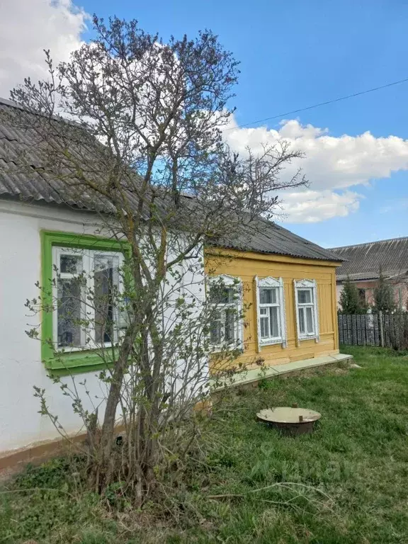 Дом в Тульская область, Тула ул. Трудовая, 29 (65 м) - Фото 0