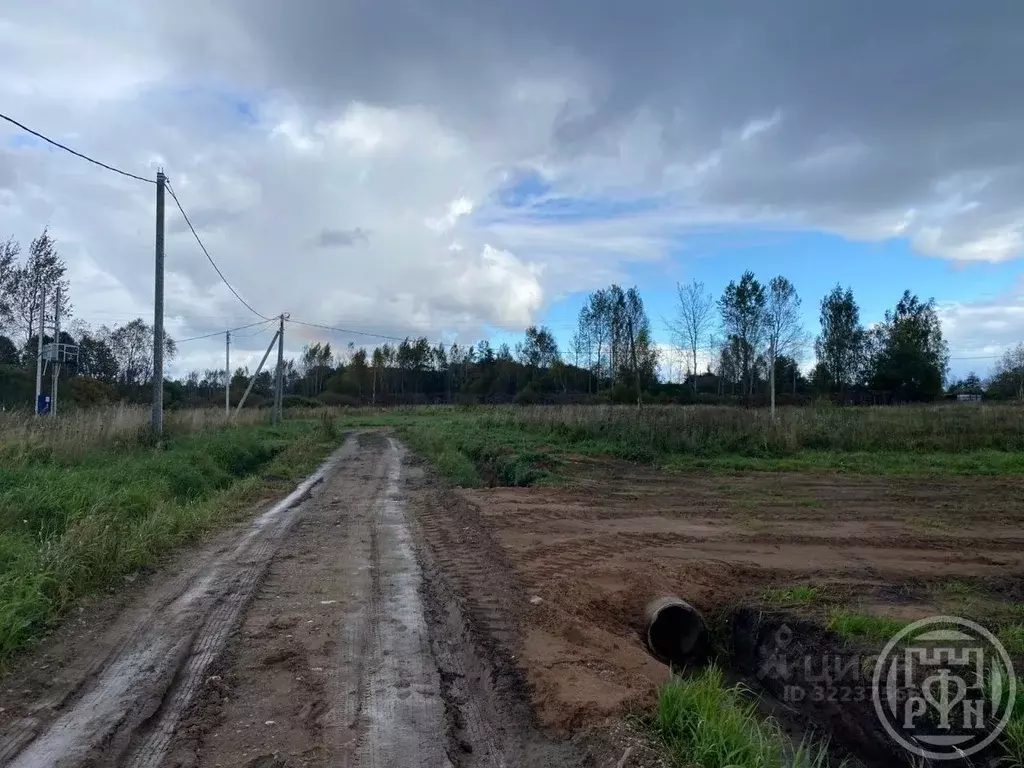 Участок в Ленинградская область, Лужский район, Скребловское с/пос, д. ... - Фото 2